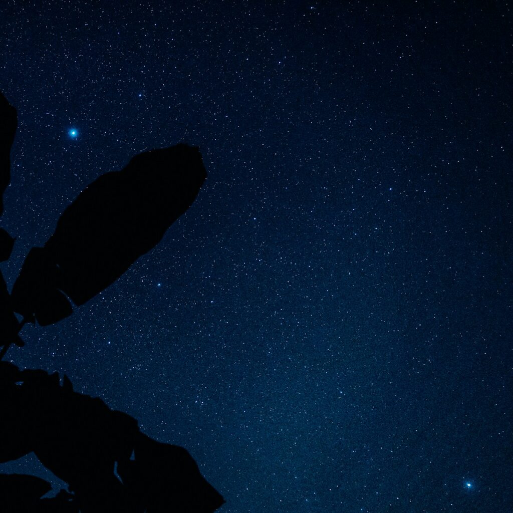 a satellite dish is silhouetted against the night sky